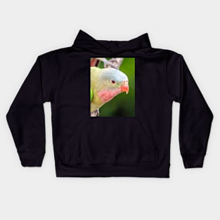 Princess Parrot Kids Hoodie